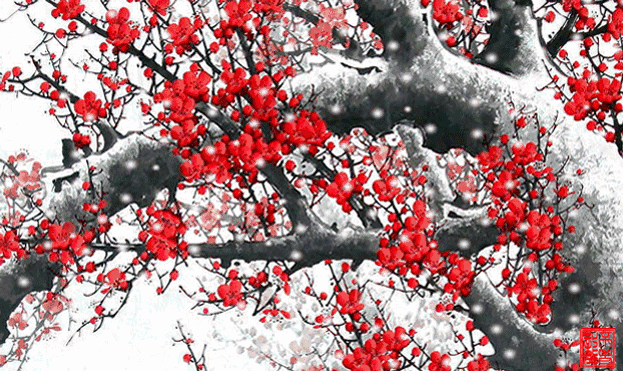 623_371gif 动态图 动图