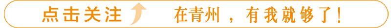 青州论坛人才网招聘信息3月25日更新，20家企业+4简历