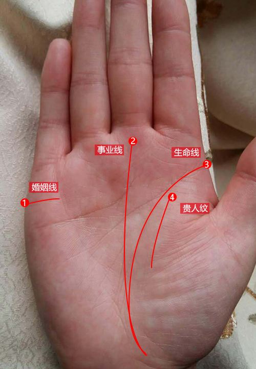 手掌“婚姻线”的位置与结婚年龄的关系