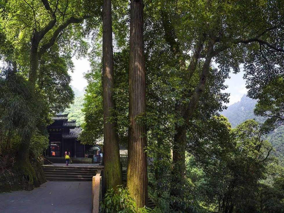 读楹联,悟禅意,解峨眉!