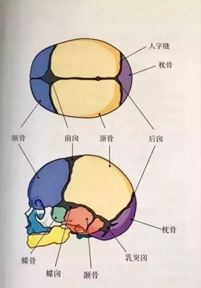 每个宝宝头上都有两个坑，暗藏重要健康信息！