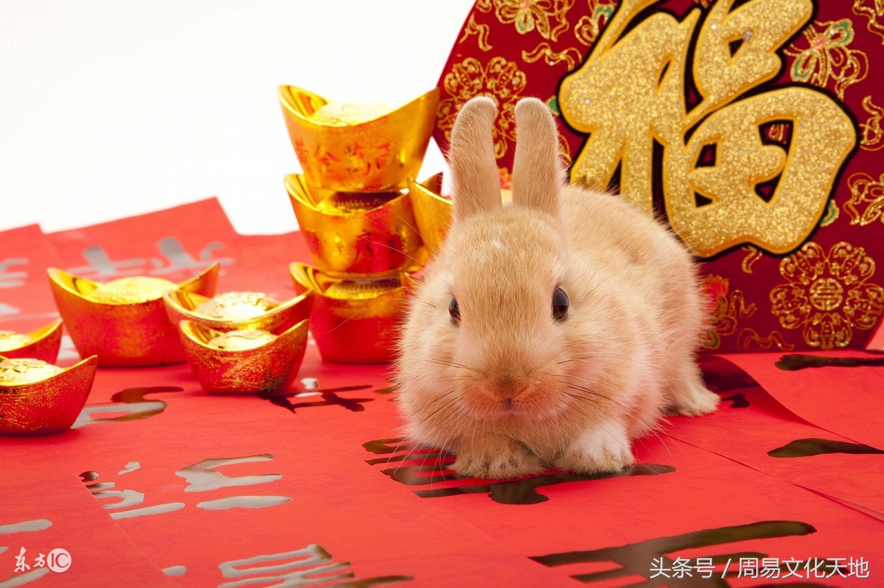 2018年快到了,很多朋友都想知道2018年属兔的人运气跟运程如何,记得