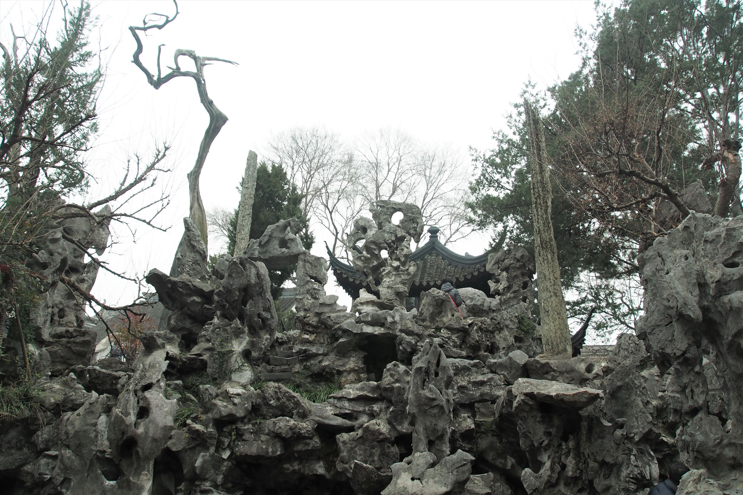 苏州园林之狮子林的英文翻译_苏州园林之狮子林在哪里 - 云林新闻励志