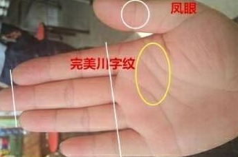 不管男女，手上出现此纹者，这辈子必定富贵无比！