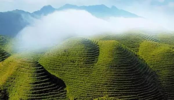 在丹寨，你能找到最美好的风景，感受最质朴纯真的生活