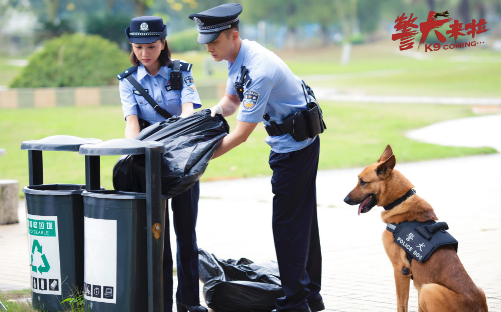 《警犬来了》：互助友爱是优质的