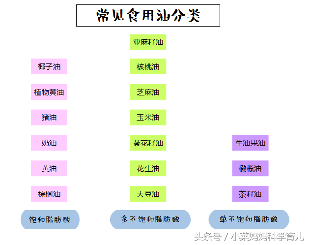 宝宝吃油怎么选？市面上最全食用油介绍！