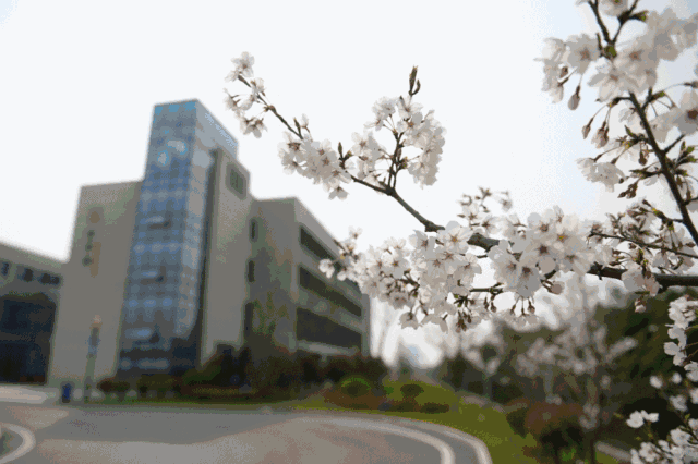 成为技能大师的机会来了！徐工技师学院2018年开始招生啦！