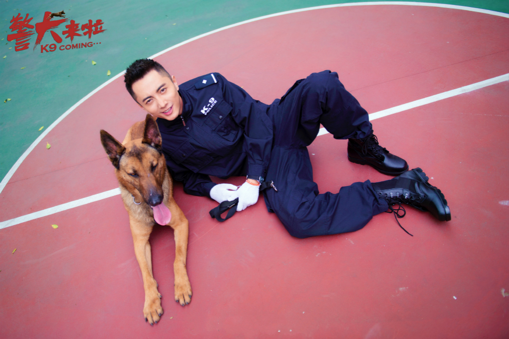 《警犬来了》：互助友爱是优质的