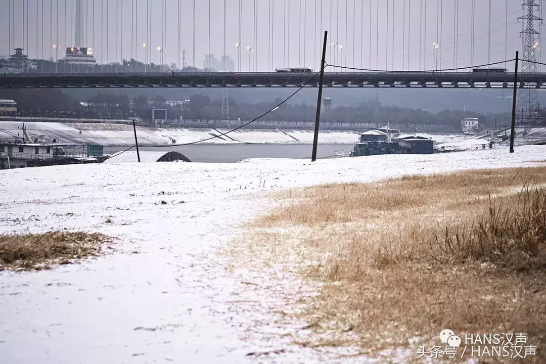 今天，每个武汉人的朋友圈都在下雪