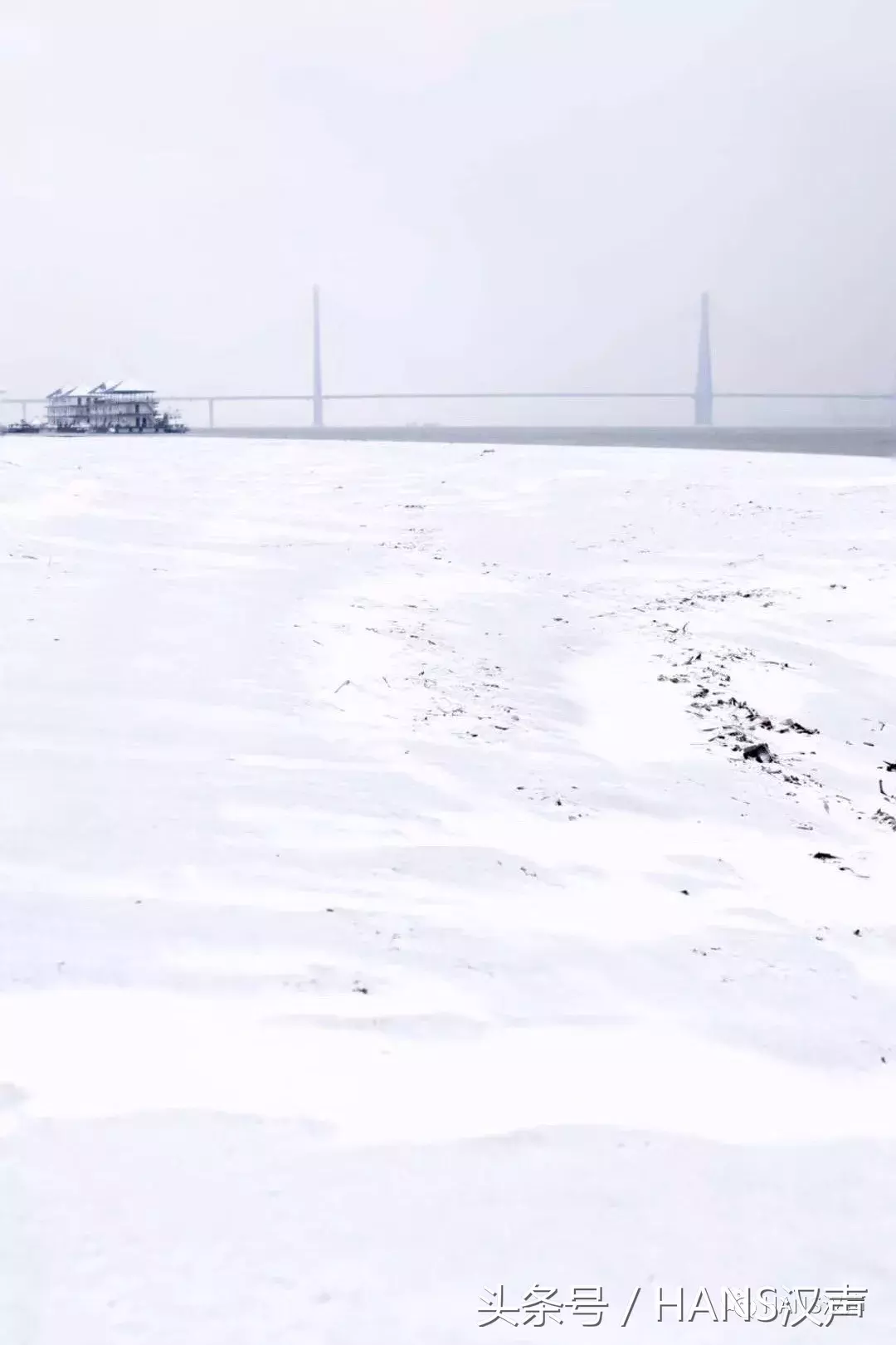 今天，每个武汉人的朋友圈都在下雪