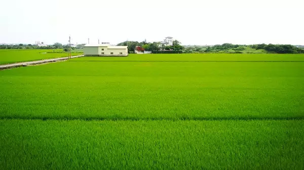 去台湾，一定要去垦丁，去垦丁，一定要住民宿。