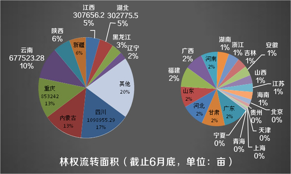 农村杉木很值钱，申请砍伐要年限，急需用钱可以这样快速变现