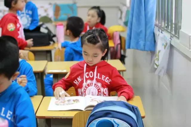 厉害了！哈尔滨这8所学校获“国字号”荣誉！