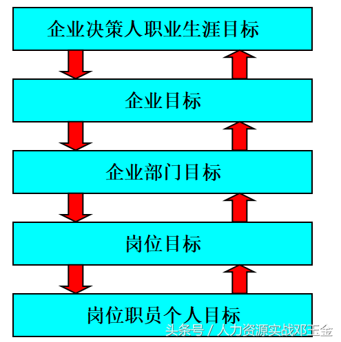 给你一个靠谱的职业生涯规划释义，明白了之后不说外行话