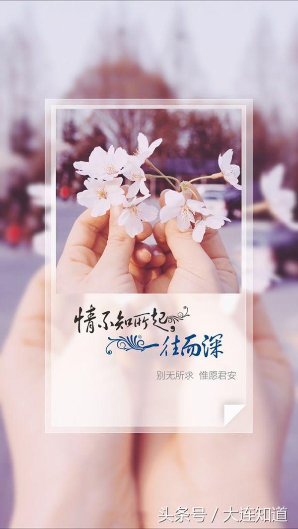 情不知所起 一往情深 唯美的句子美女图片
