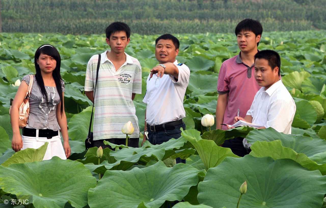 北大设立农学院了，农业真的要崛起了，绝非吹嘘！不信，你看！