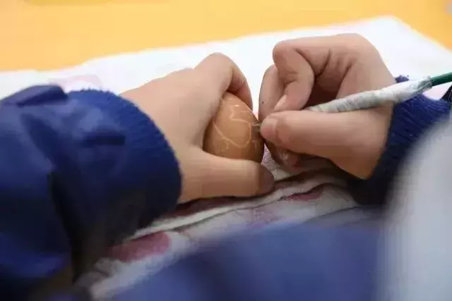 厉害了！哈尔滨这8所学校获“国字号”荣誉！