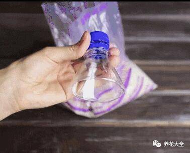 1个塑料瓶自制加湿器，放在卧室客厅，养花不怕干燥了！