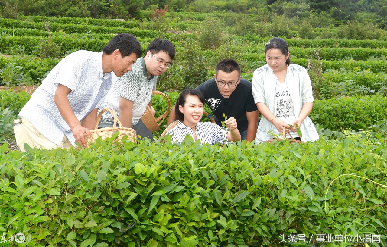 2018大学生村官考试不会取消？有这3大好处，还能直接转事业编！