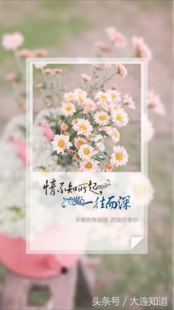 情不知所起，一往而深，只因你一笑倾城，眸光如星，心动已悄然生根。
