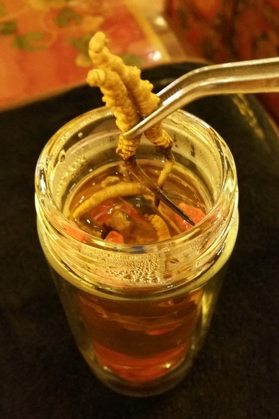 虫草一次吃几根最好带你揭秘虫草的逆天功效