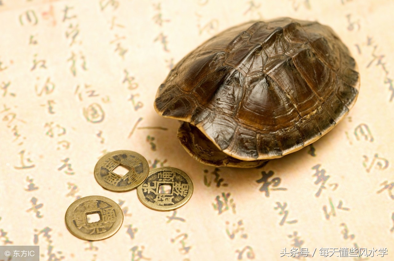 2种命格是大富大贵的命运 财旺身强富贵命_达一风水网