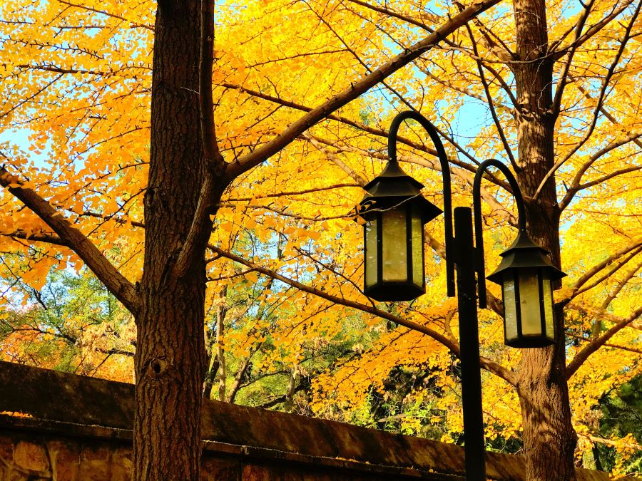 写作方法｜8种应用文的写作方法及注意事项