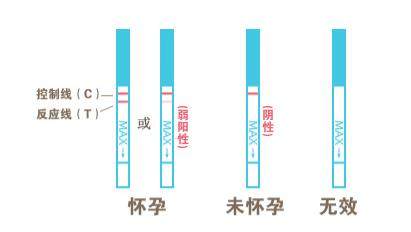 早孕试纸多久能测出来 常见的判断早孕的检查方法