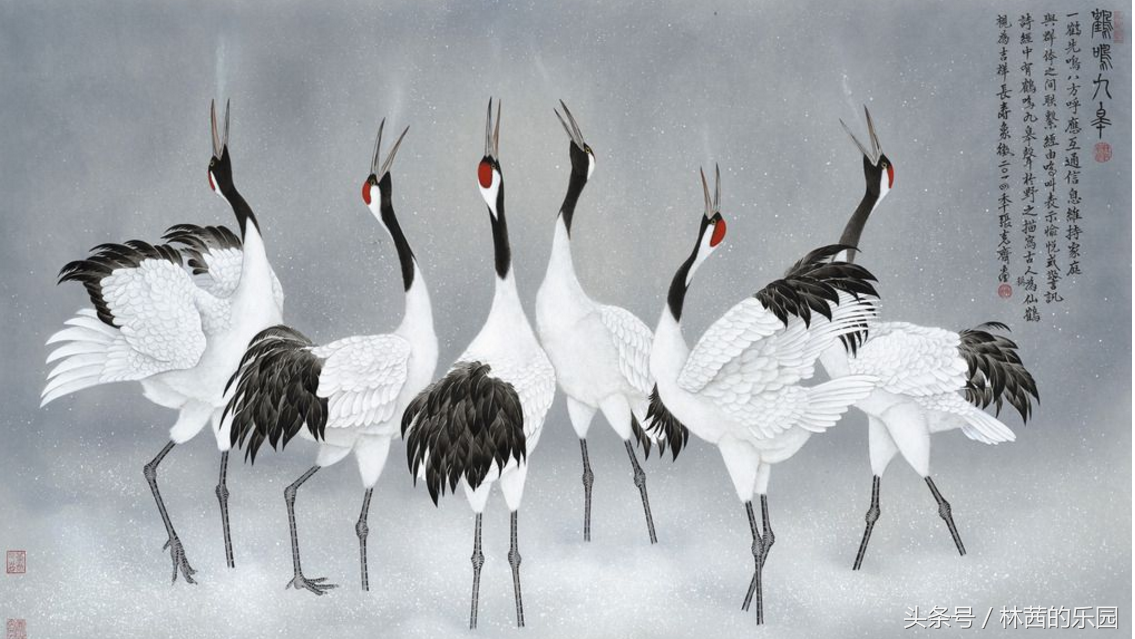 歌咏仙鹤的诗词,鹤舞九天,绿水映仙姿;晴空飞鹤,诗情染碧霄
