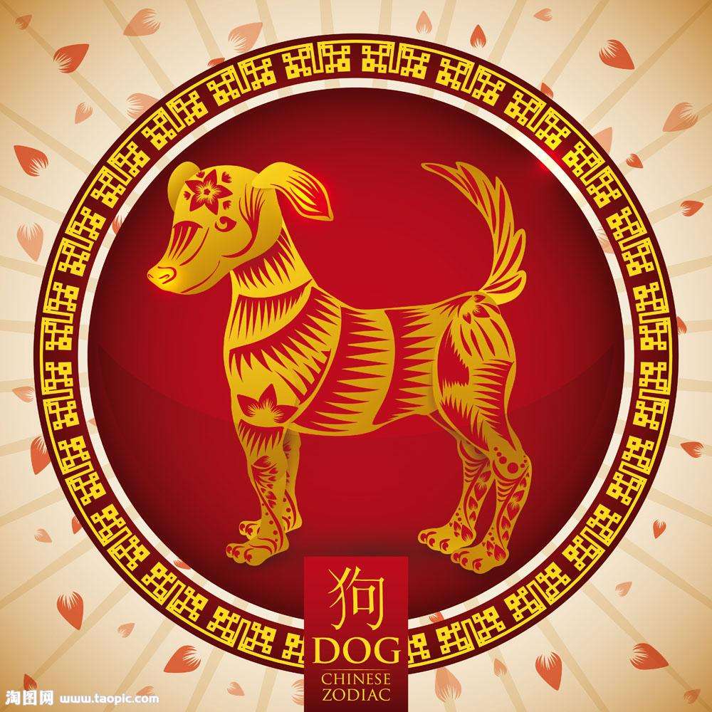 属狗的人本命年要注意了,白天和晚上出生的人运势各不相同!