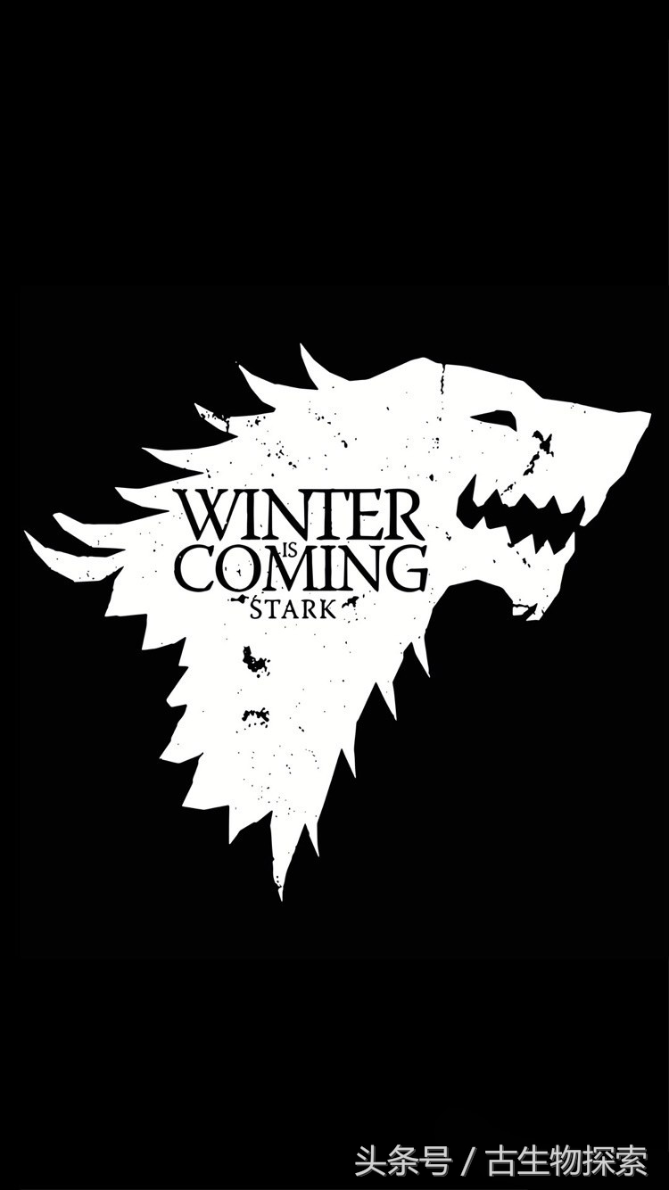 恐狼:《冰与火之歌》中冰原狼的原型