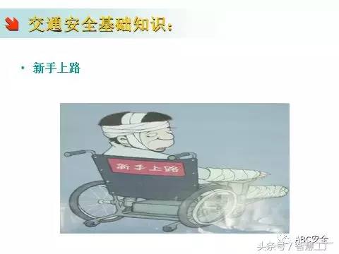 交通安全知识培训