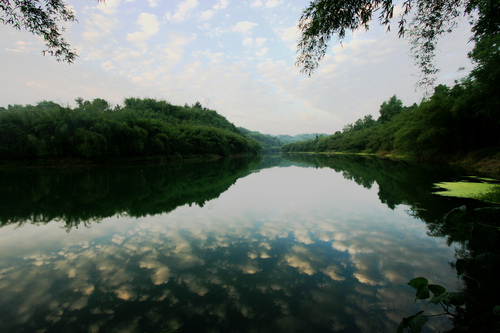 此情此景美如斯但愿长醉不复醒别是一番好去处遁入翠海做神仙那一片绿