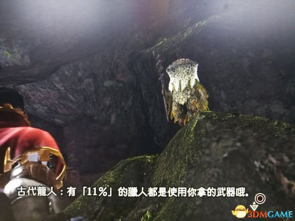 怪物猎人世界武器使用率排名及配装