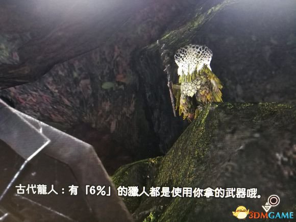 怪物猎人世界武器使用率排名及配装