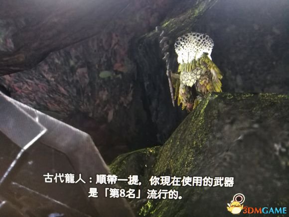 怪物猎人世界武器使用率排名及配装