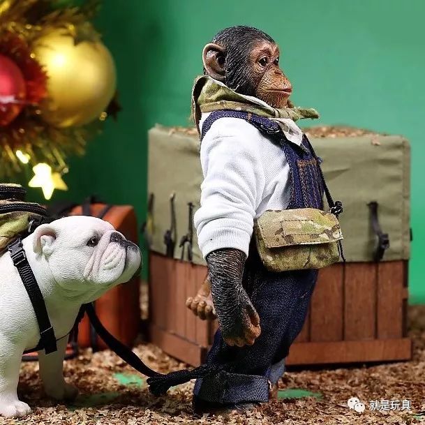 《狗狗猩猩大冒险》里的小庞与詹姆士