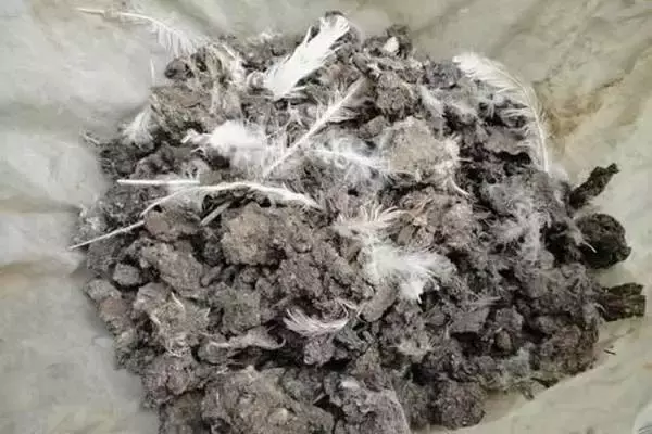 羊粪、鸡粪、牛粪、猪粪、马粪,哪个养分最高?你会发酵吗?