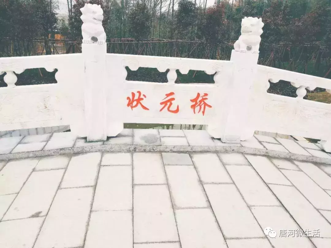 重磅！唐河一高中将办新校区！