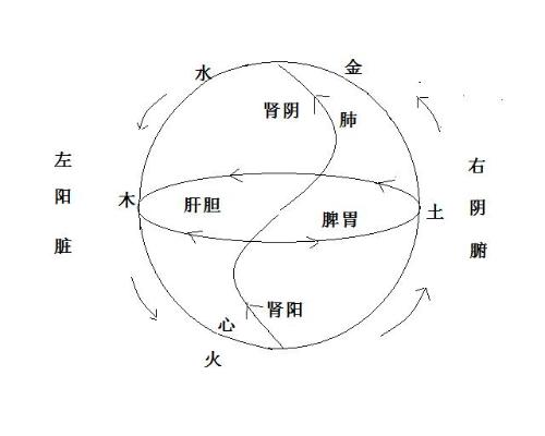 值得收藏！一分钟看懂易经学基础知识