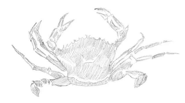 适合初学者学习的素描入门小教程