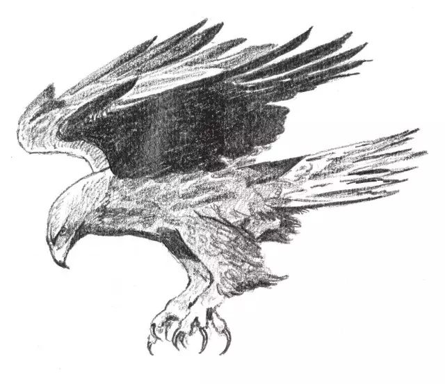 适合初学者学习的素描入门小教程