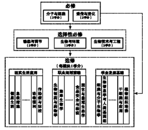 新课程标准下高中阶段学什么？——2017版普通高中课程标准