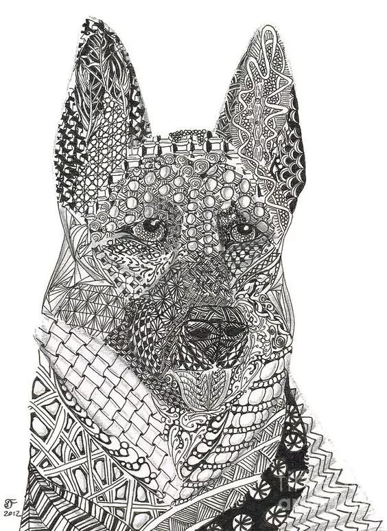 各种狗的画法,从素描到国画,都能画出生动的狗