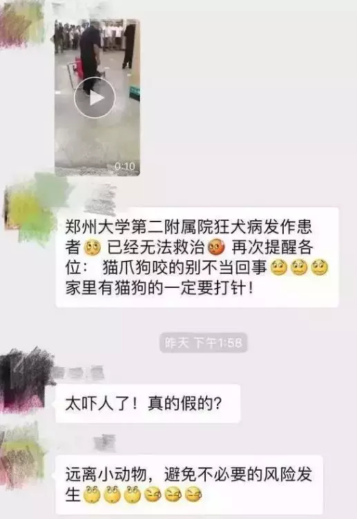 狂犬病了解一下？舔一下包你感染，舔两下立马汪汪叫！