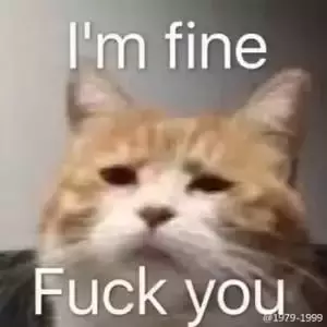 狂犬病了解一下？舔一下包你感染，舔两下立马汪汪叫！