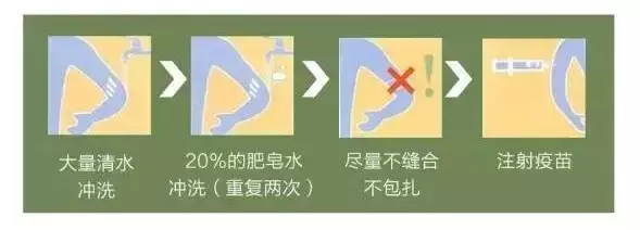 狂犬病了解一下？舔一下包你感染，舔两下立马汪汪叫！