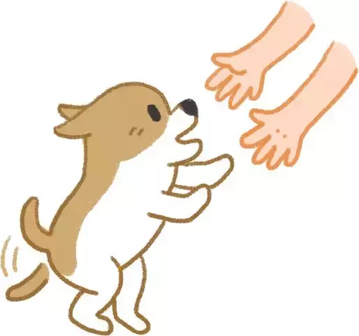 狂犬病了解一下？舔一下包你感染，舔两下立马汪汪叫！