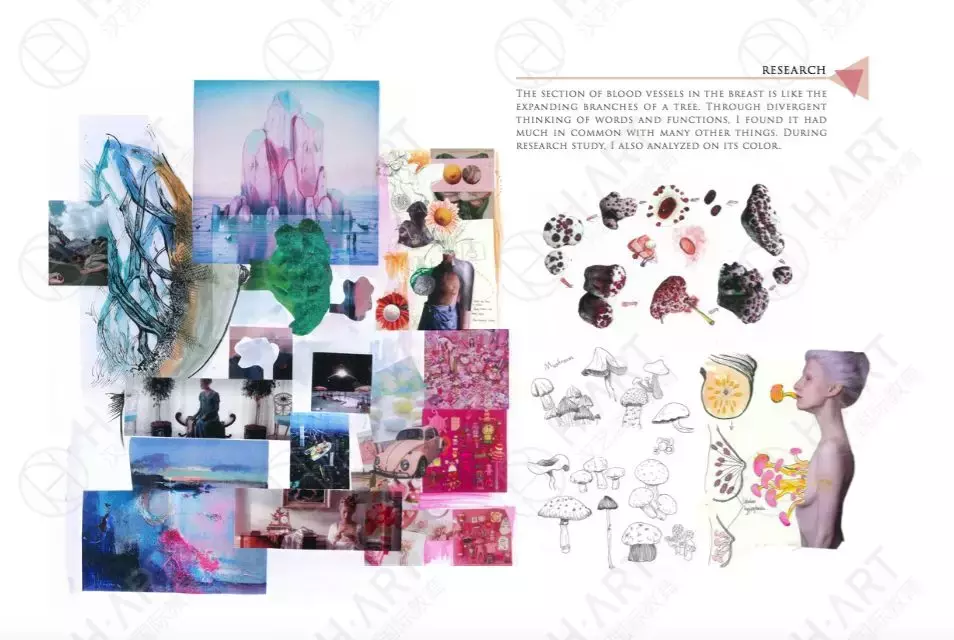 保底or顶级？伯明翰城市大学